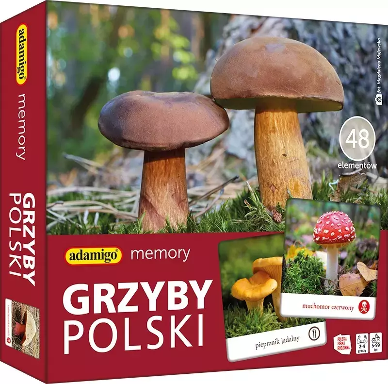 Okładka gry o grzybach.